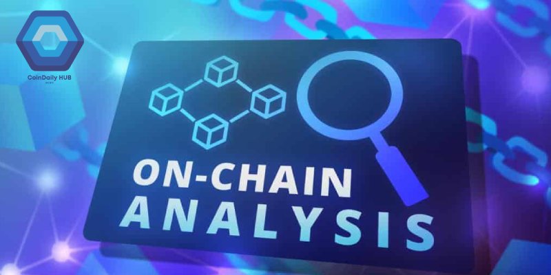 Phân Tích On-Chain Trong Crypto Là Gì