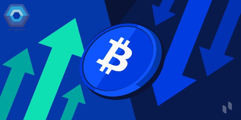 Chiến Lược Đầu Tư Bitcoin Dài Hạn